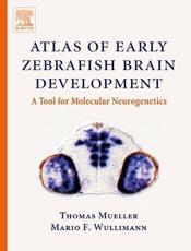 Atlas of Early Zebrafish Brain Development