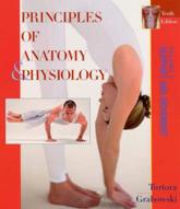 Principles of Anatomy and Physiology, Support and Movement of the Human Body