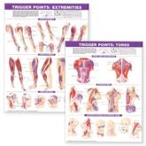 Trigger Point Chart Set: Torso and Extremities