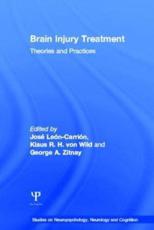 Brain Injury Treatment: Theories and Practices