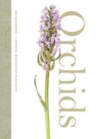 Orchids of Europe