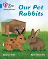 Our Pet Rabbits