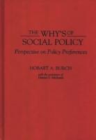 The Why's of Social Policy: Perspective on Policy Preferences