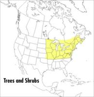 A Peterson Field Guide to Trees and Shrubs