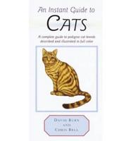 An Instant Guide to Cats