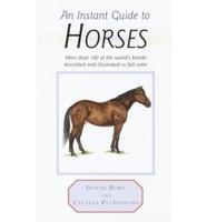 An Instant Guide to Horses