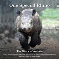 One Special Rhino