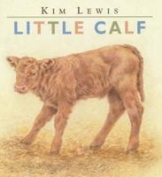 Little Calf