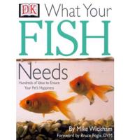 What Your Fish Needs