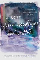 A Scar Where Goodbyes Are Written