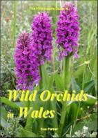 The First Nature Guide to Wild Orchids in Wales