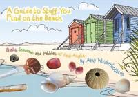 A Guide to Stuff You Find on the Beach