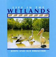 Life in the Wetlands