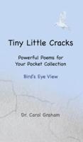 Tiny Little Cracks: Bird's Eye View