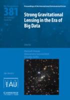 Strong Gravitational Lensing in the Era of Big Data