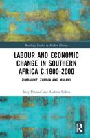 Labour and Economic Change in Southern Africa C.1900-2000