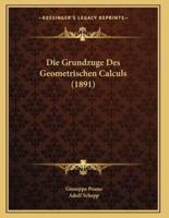 Die Grundzuge Des Geometrischen Calculs (1891)