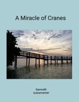 A Miracle of Cranes