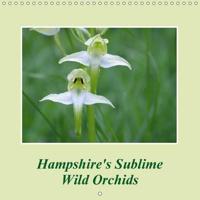 Hampshire's Sublime Wild Orchids 2017