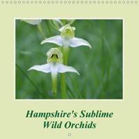 Hampshire's Sublime Wild Orchids 2018