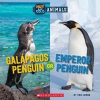 Hot and Cold Animals. Galápagos Penguin or Emperor Penguin