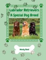 Labrador Retrievers: A Special Dog Breed