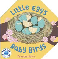 Little Eggs, Baby Birds