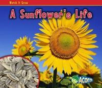 A Sunflower's Life