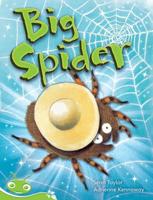 Bug Club Phonics Early - Green: Big Spider (Reading Level 12-14/F&P Level G-H)