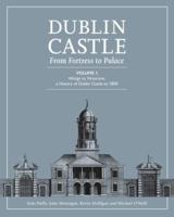Dublin Castle VOlume 1 Vikings to Victorians