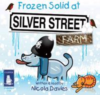 Frozen Solid at Silver Street Farm