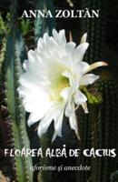 Floarea Alba De Cactus