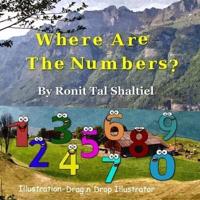 Where are the numbers ?: The adventure of the numbers