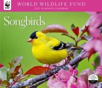 Songbirds WWF 2022 Wall Calendar