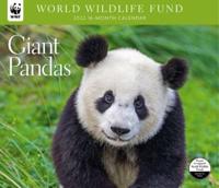 Giant Pandas WWF 2022 Wall Calendar