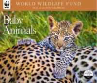 Baby Animals WWF 2022 Wall Calendar