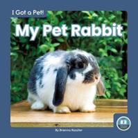 My Pet Rabbit