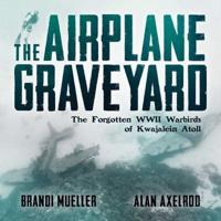 The Airplane Graveyard
