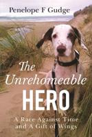 The Unrehomeable Hero A Race Against Time and A Gift of Wings