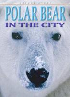 Why Don't Polar Bears Freeze?