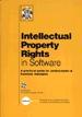 Intellectual Property Rights in Software