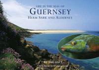 Sealife in Guernsey