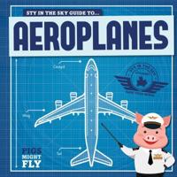Piggles' Guide To...aeroplanes