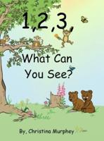 1, 2, 3, What Can You See?