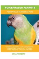 Poicephalus Parrots: Poicephalus Parrots As Pets