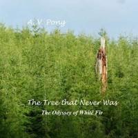 The Tree That Never Was, The Odyssey of White Fir