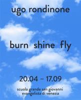 Ugo Rondinone - Burn Shine Fly