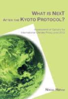 What Is Next After the Kyoto Protocol?