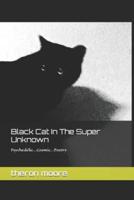 Black Cat In The Super Unknown