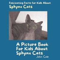 A Picture Book for Kids About Sphynx Cats